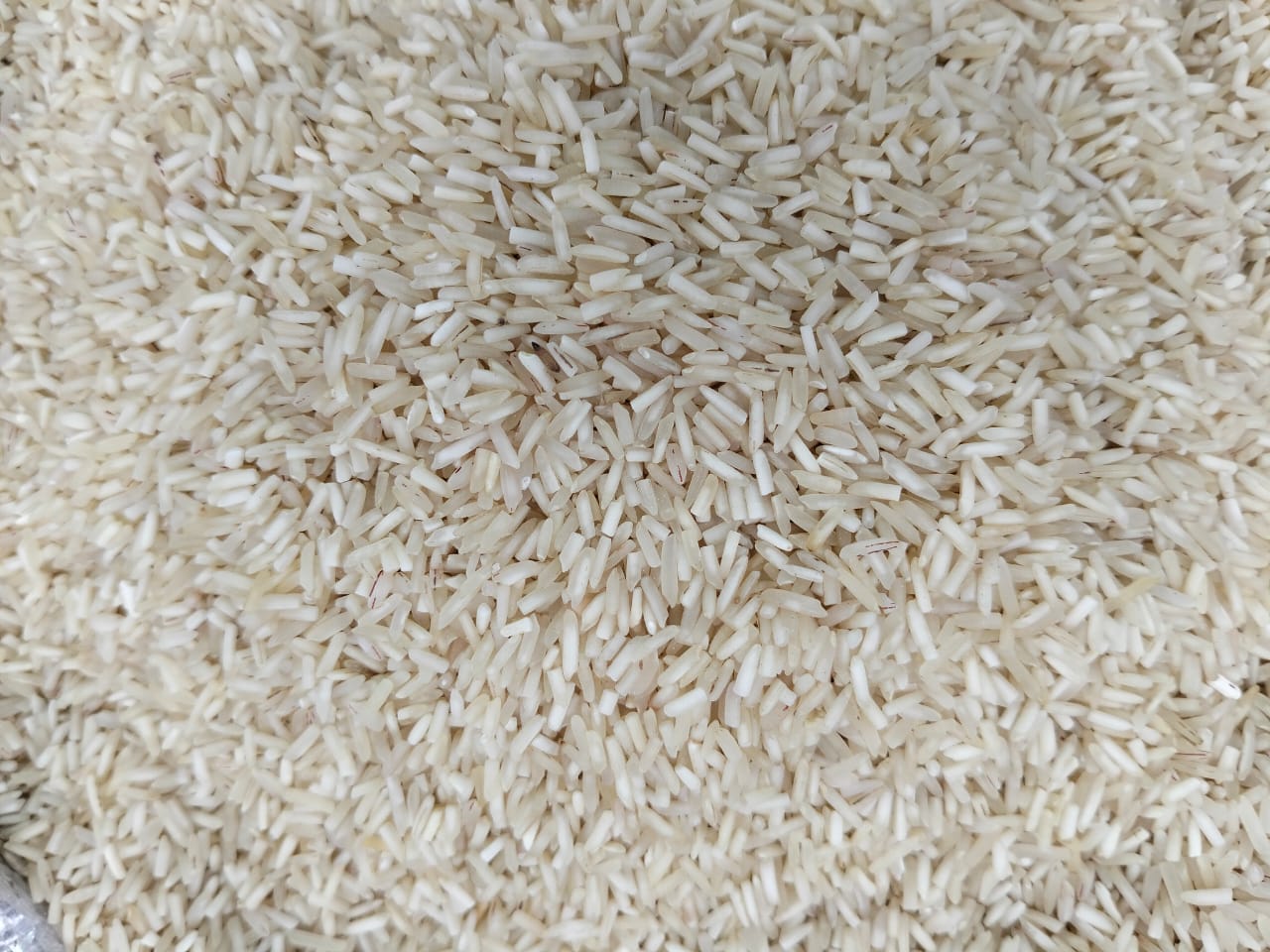 Rice-1 Short grain rice