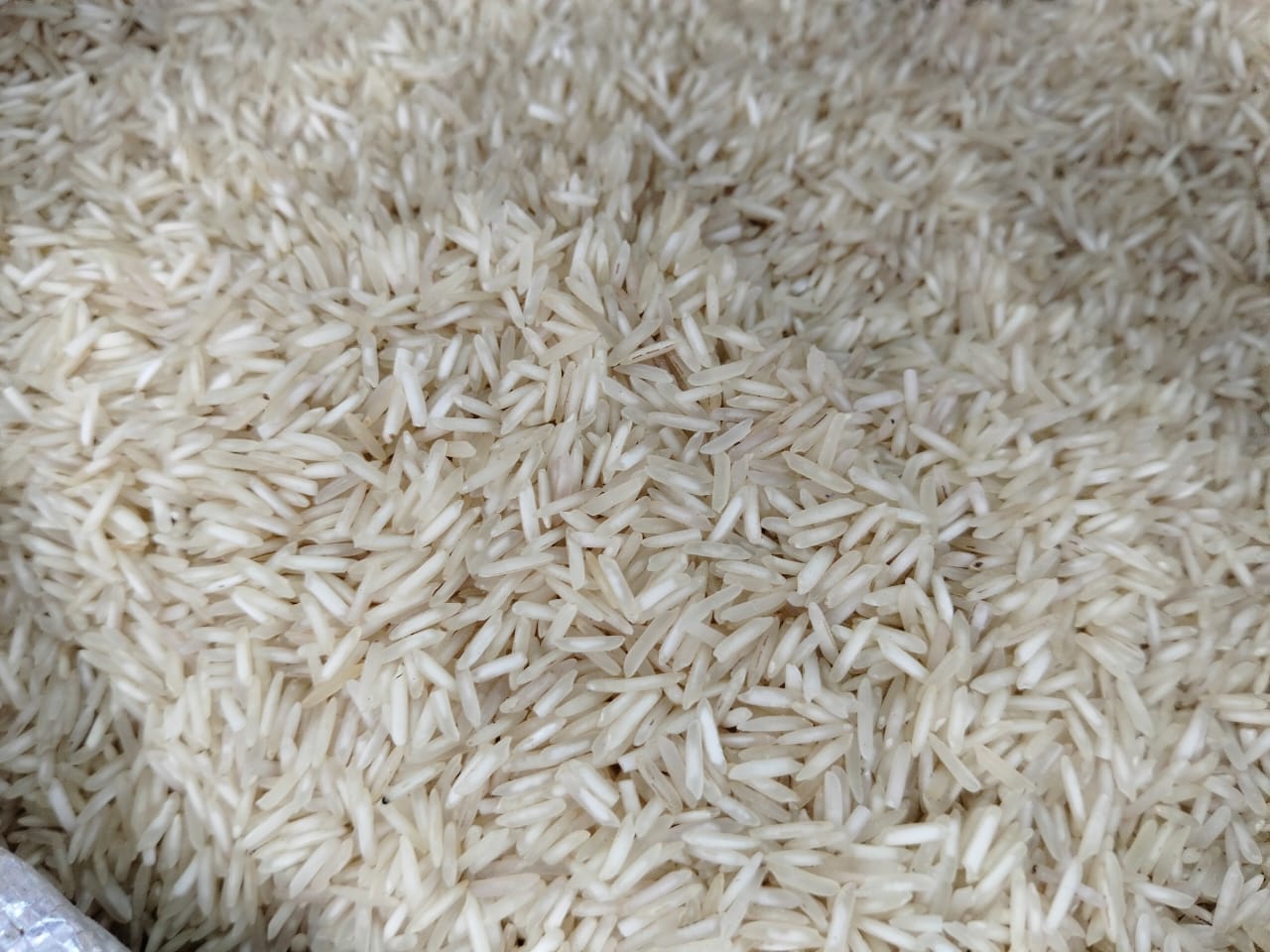 WHITE GOLD BIRYANI RICE EXPORT QUALITY